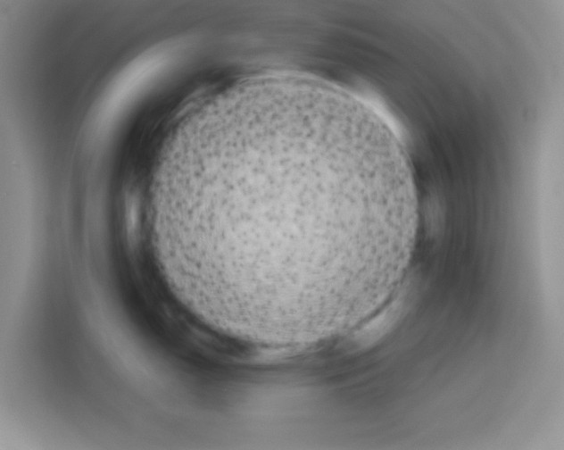 X0000113021150200910081155