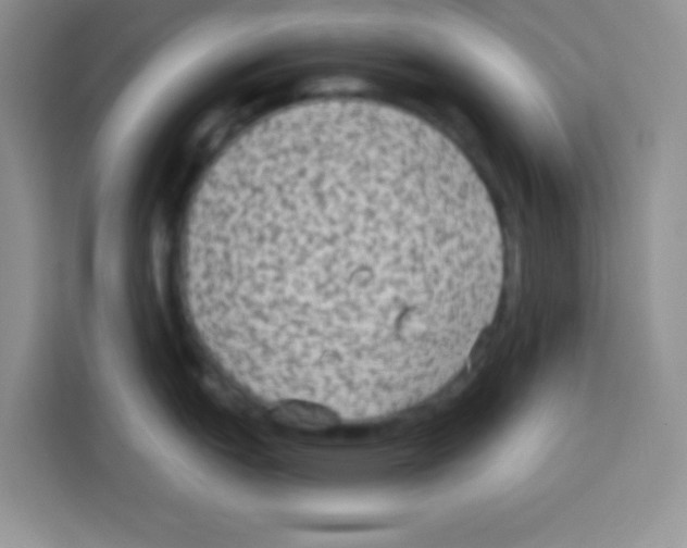 X0000113021151200910081155