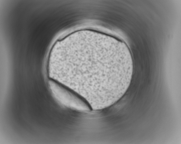 X0000113021152200910081155