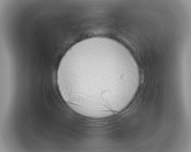 X0000113021156200910081154