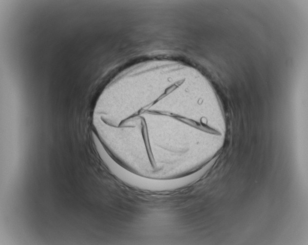 X0000113021157200910081154