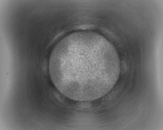 X0000113021158200910081154