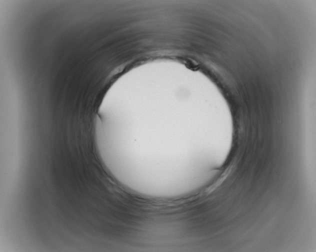 X0000113021161200910081154