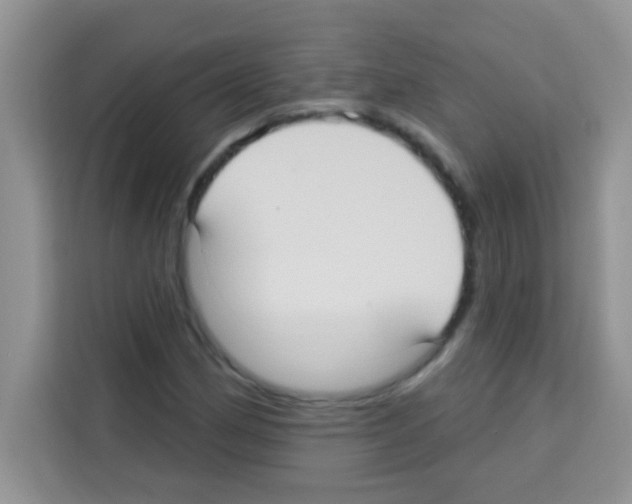 X0000113021162200910081154