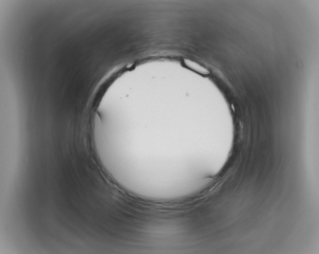 X0000113021165200910081154