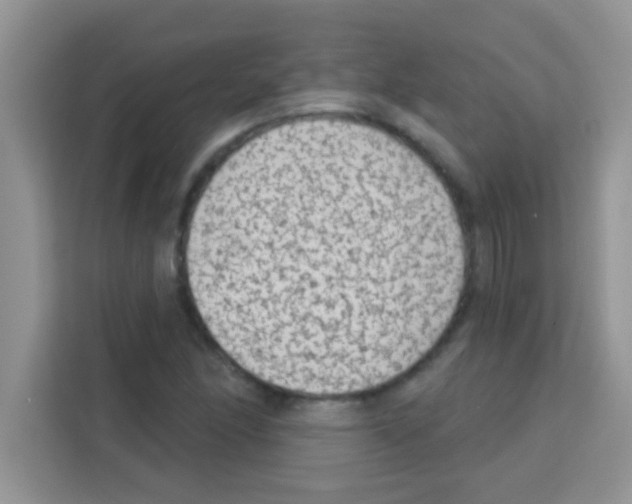 X0000113021166200910081154