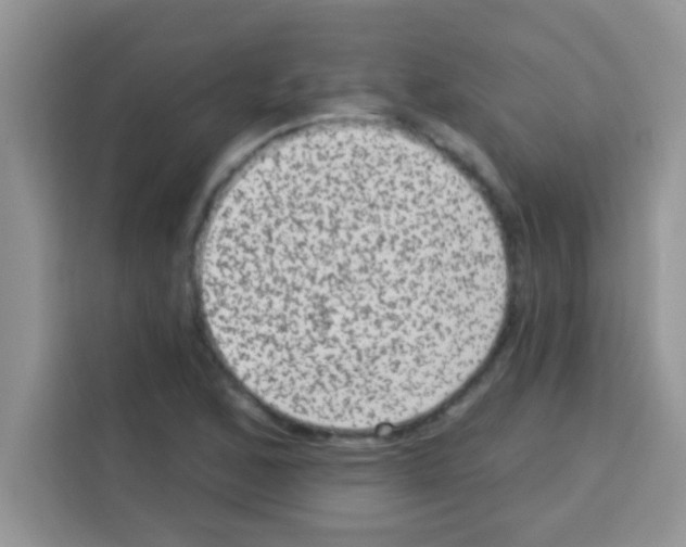 X0000113021168200910081154