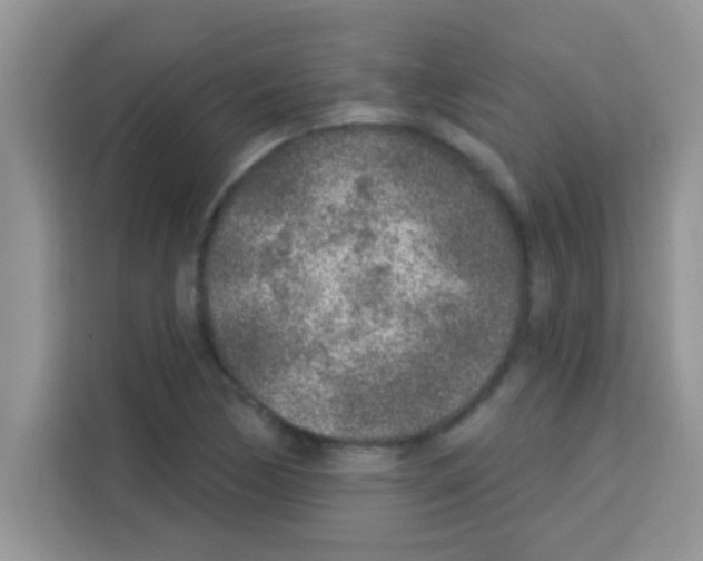 X0000113021170200910081154