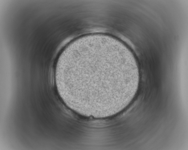 X0000113021171200910081154