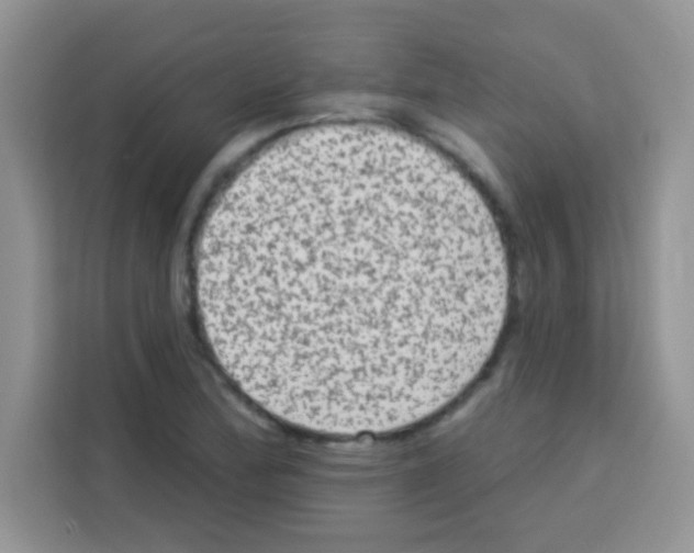 X0000113021172200910081154