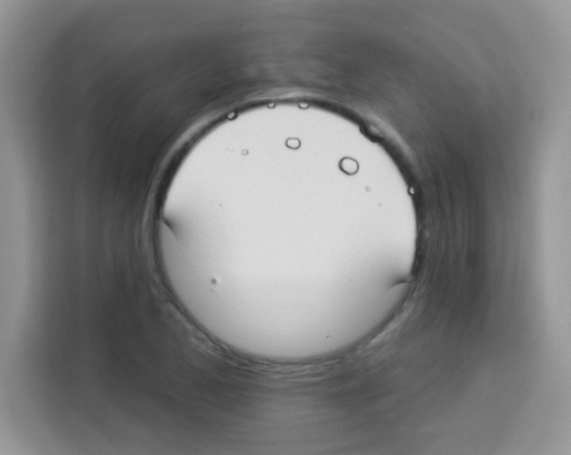 X0000113021173200910081154