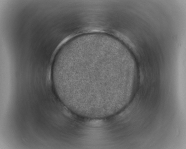 X0000113021174200910081154