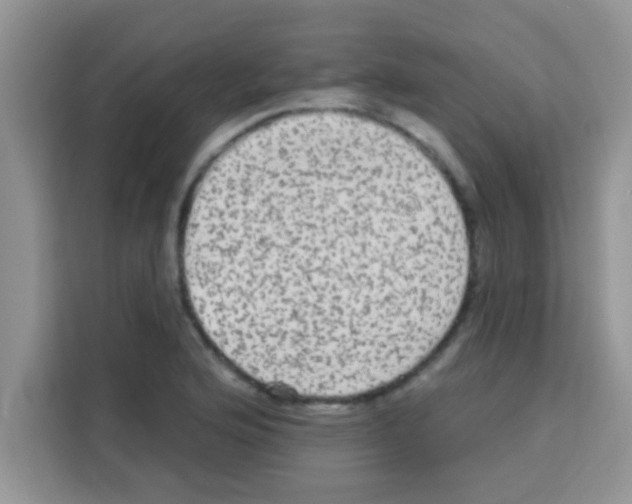 X0000113021176200910081154