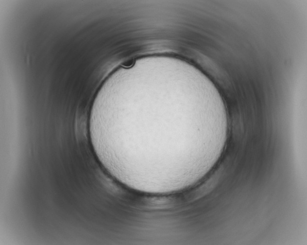 X0000113021177200910081154