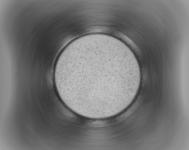 X0000113021178200910081154