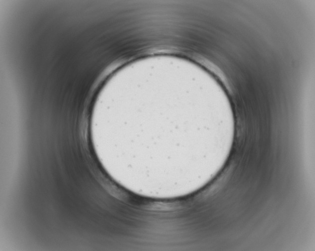 X0000113021179200910081154