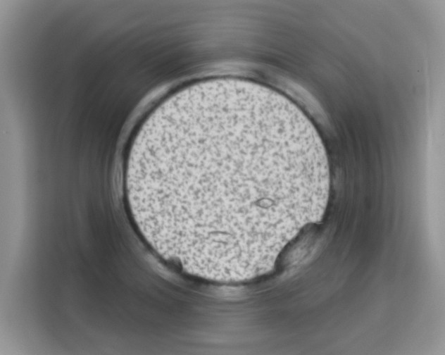 X0000113021180200910081154