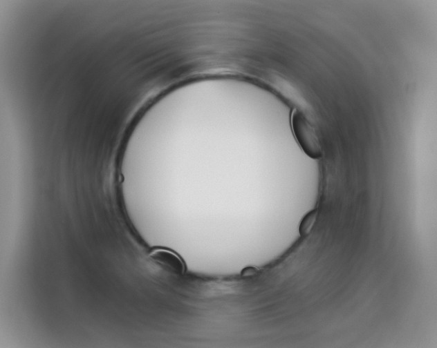 X0000113021181200910081154