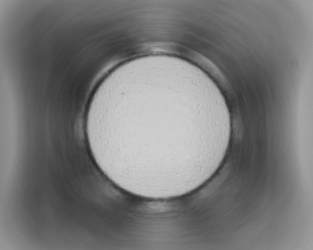 X0000113021182200910081154