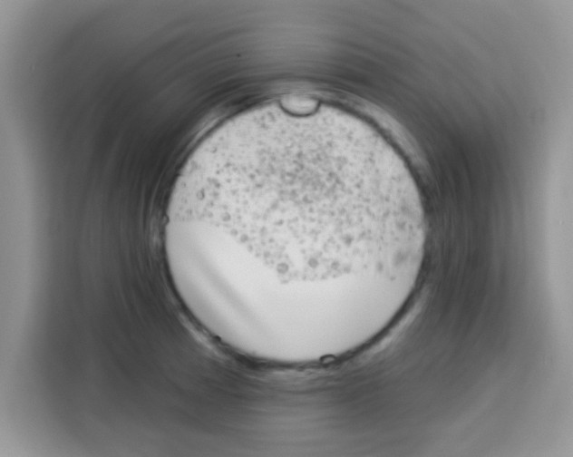 X0000113021185200910081154