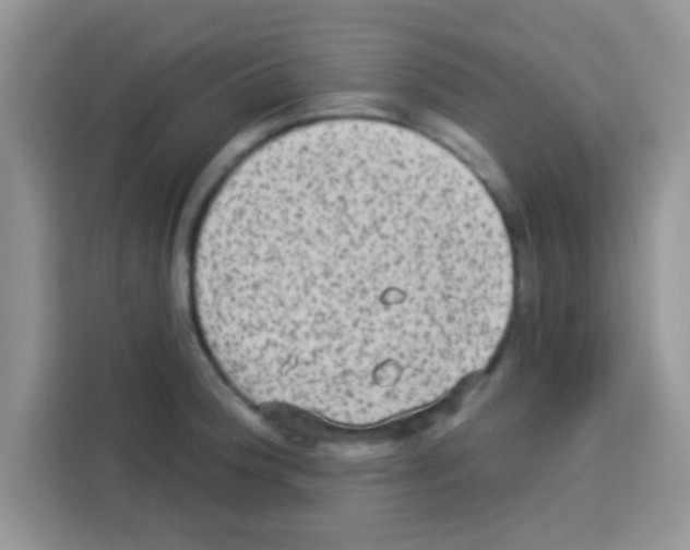 X0000113021188200910081153