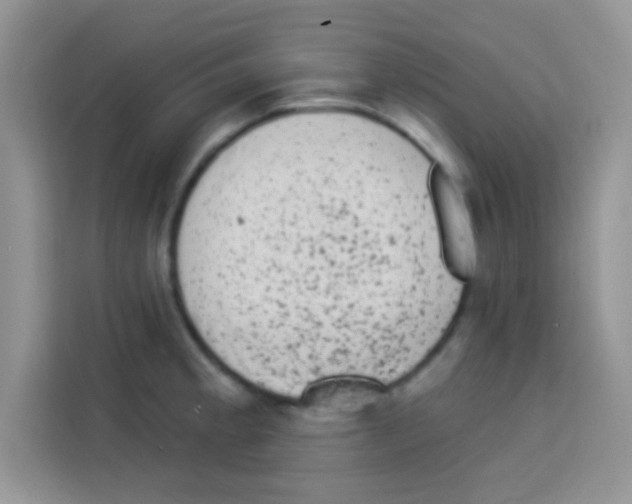 X0000113021189200910081153