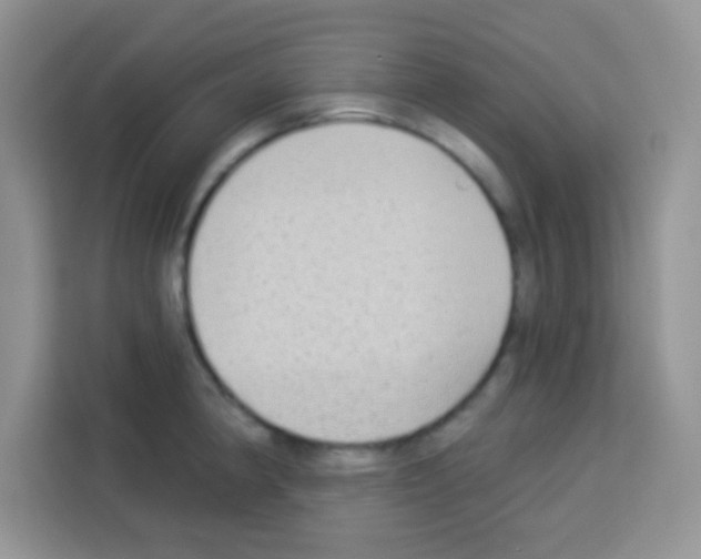 X0000113021190200910081153