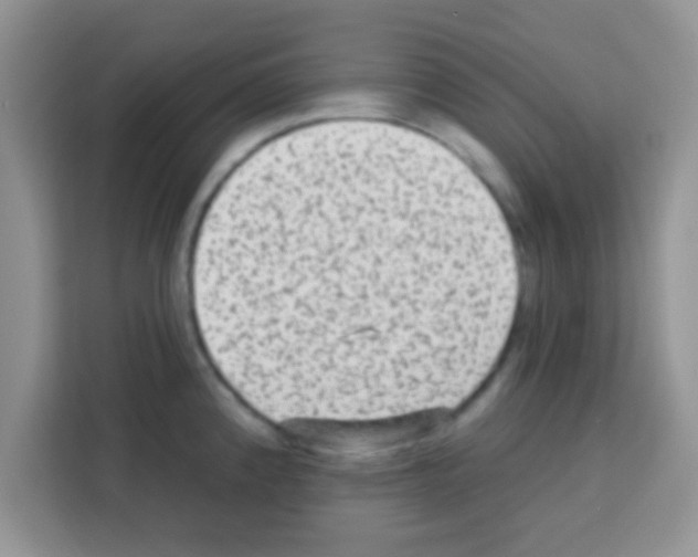 X0000113021192200910081153