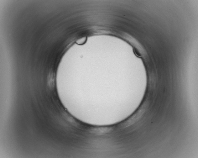 X0000113021193200910081153