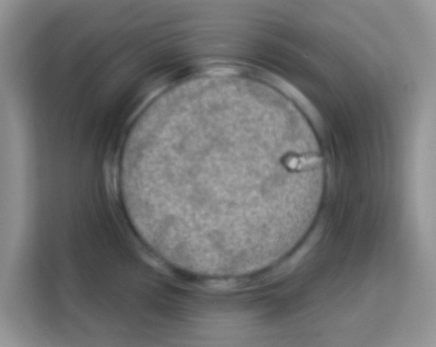 X0000113021194200910081153