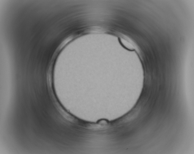 X0000113021195200910081153