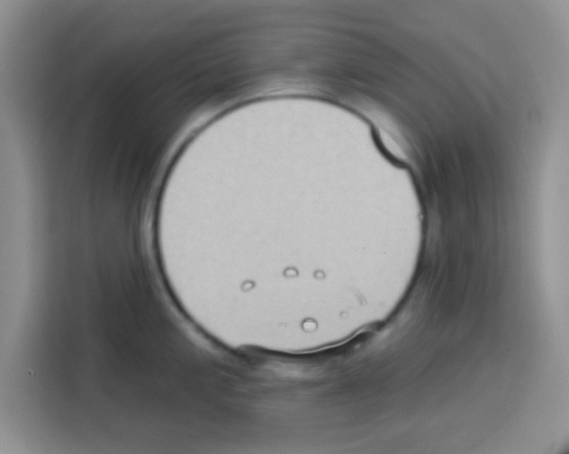 X0000113021197200910081153