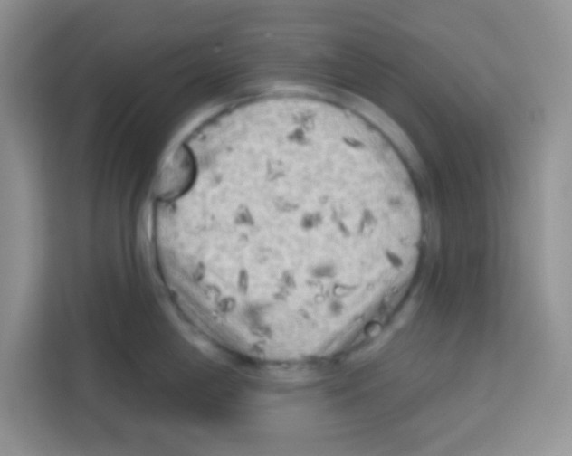 X0000113021198200910081153