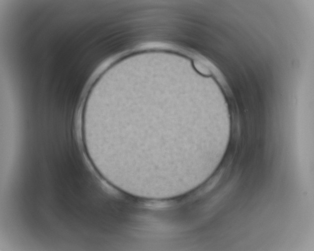 X0000113021199200910081153