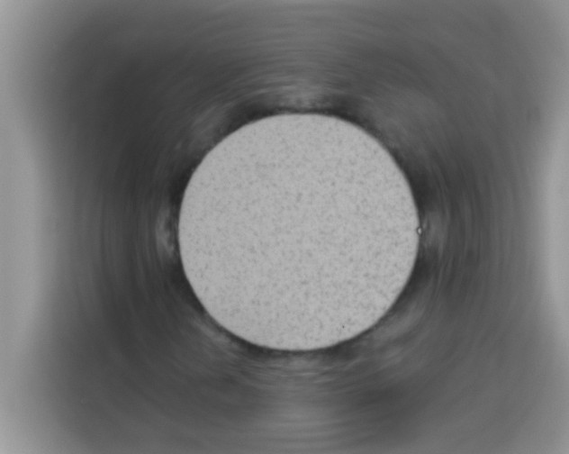 X0000113021202200910081153