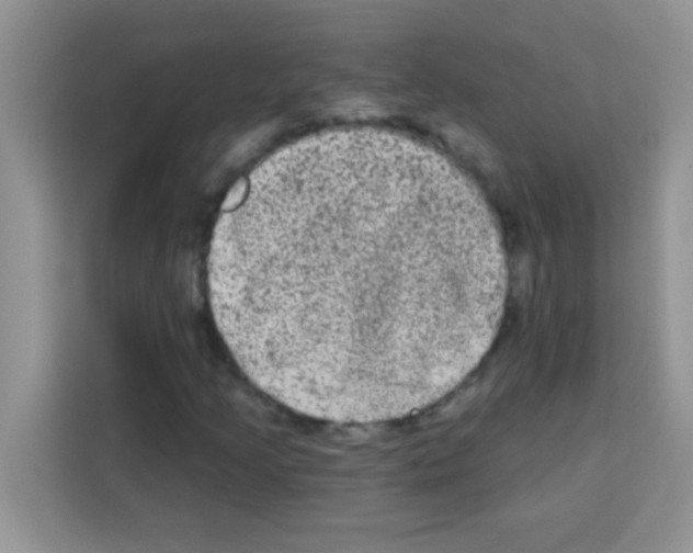 X0000113021205200910081153