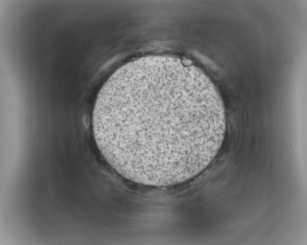 X0000113021206200910081153