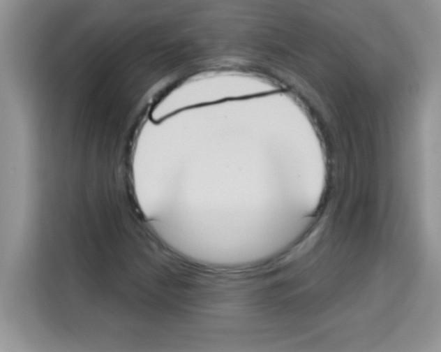 X0000113021210200910081153