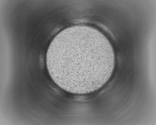 X0000113021217200910081153