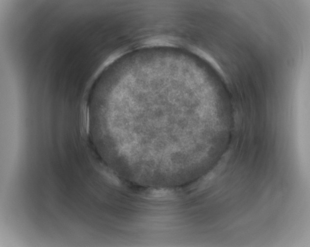 X0000113021219200910081153