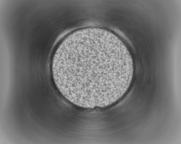 X0000113021222200910081153