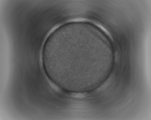 X0000113021229200910081153