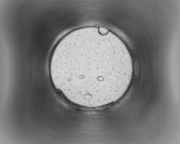 X0000113021230200910081153