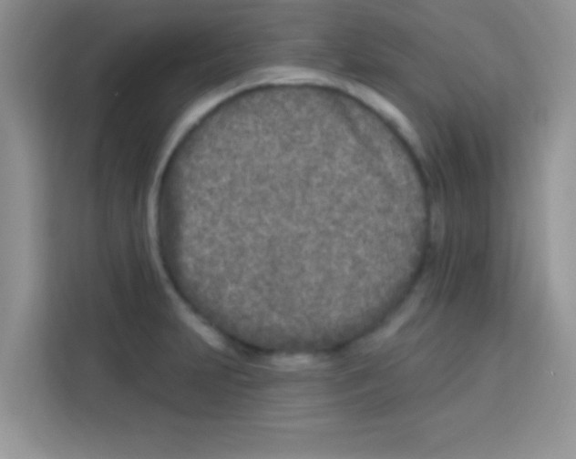 X0000113021231200910081153