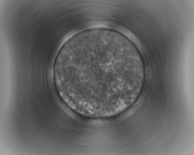 X0000113021234200910081153