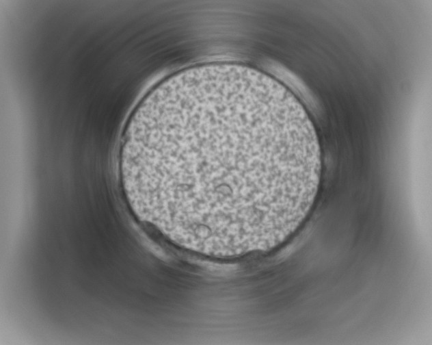 X0000113021236200910081153