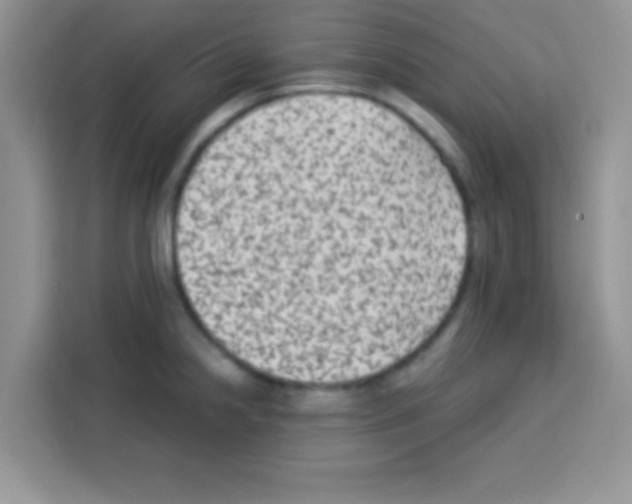 X0000113021238200910081153