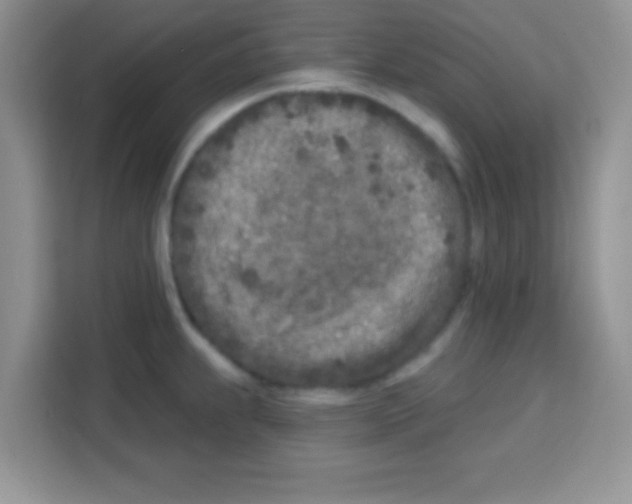 X0000113021239200910081153