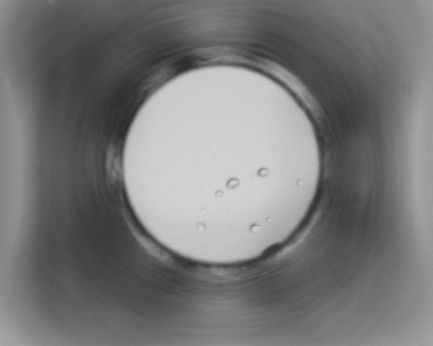 X0000113021241200910081153