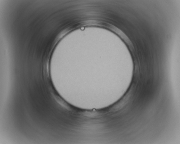 X0000113021242200910081153